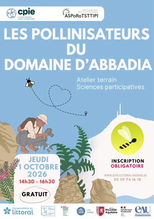 A la découverte des pollinisateurs du domaine d'Abbadia