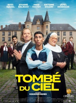 Cinéma Arudy : Tombé du ciel