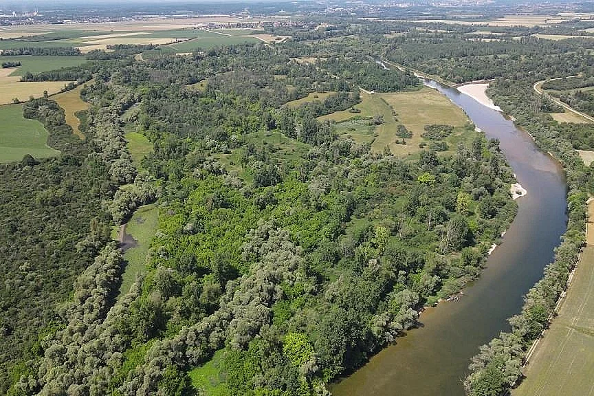 Découverte de la réserve