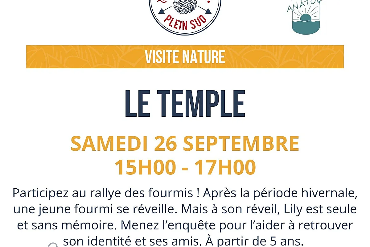 Sortie nature. Rallye des fourmis