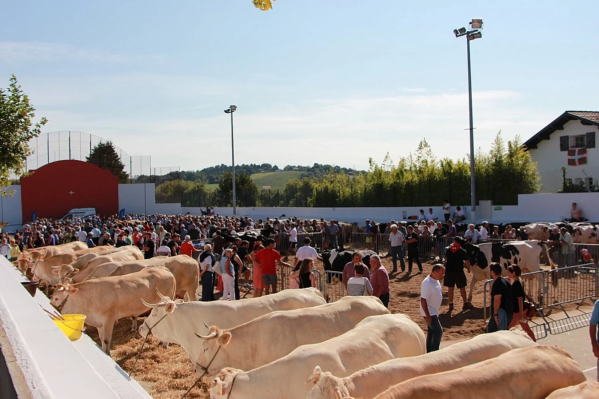 Fêtes d'Urrugne