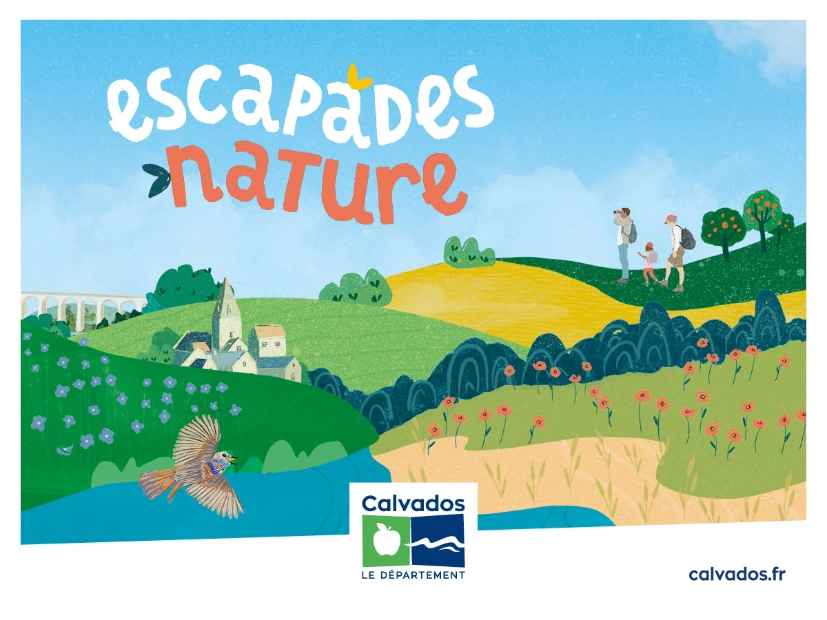Les lutins de la vallée du Dan