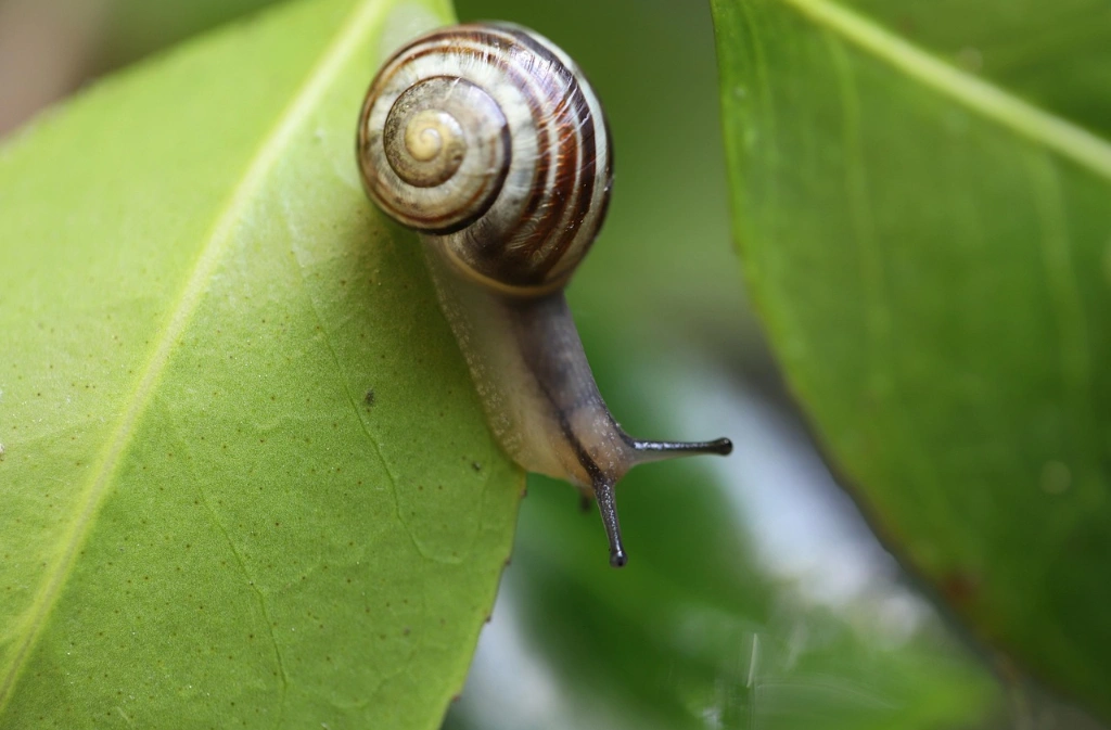 Les 24h de la biodiversité