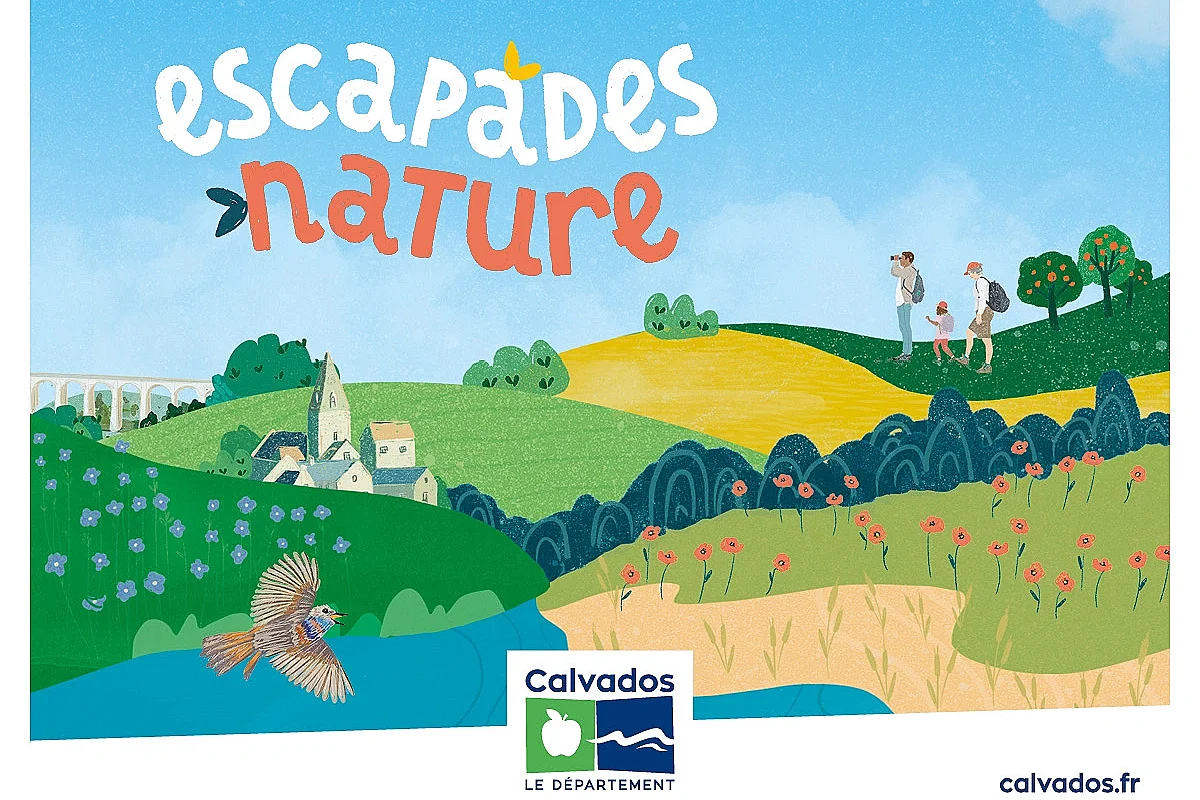 Comptage participatif d'une espèce patrimoniale sur la réserve du coteau de Mesnil-Soleil