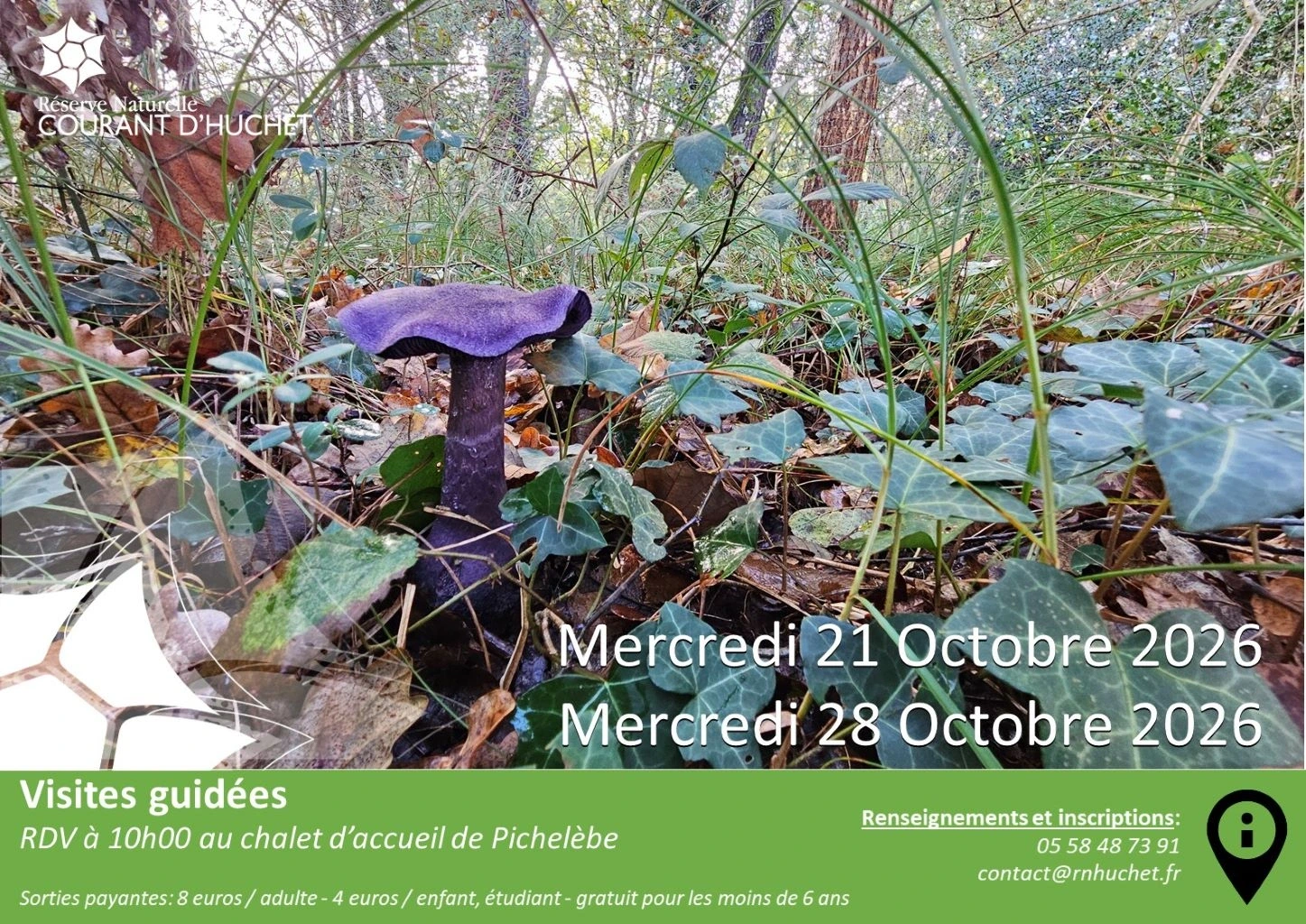 Partez à la découverte de la Réserve Naturelle du Courant d'Huchet
