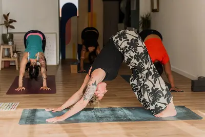 Yoga Vinyasa