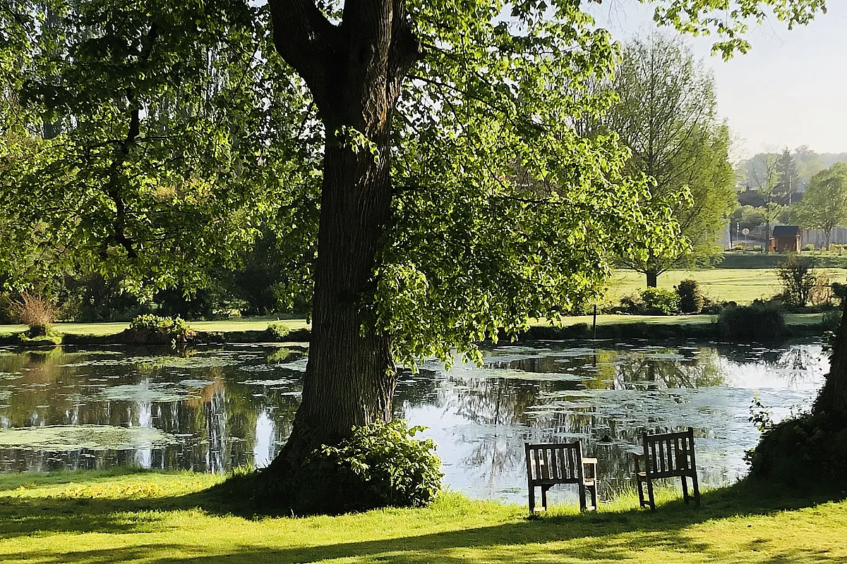 Rendez-vous aux jardins du Plessis Sasnières