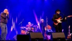 Concert - Hamardy