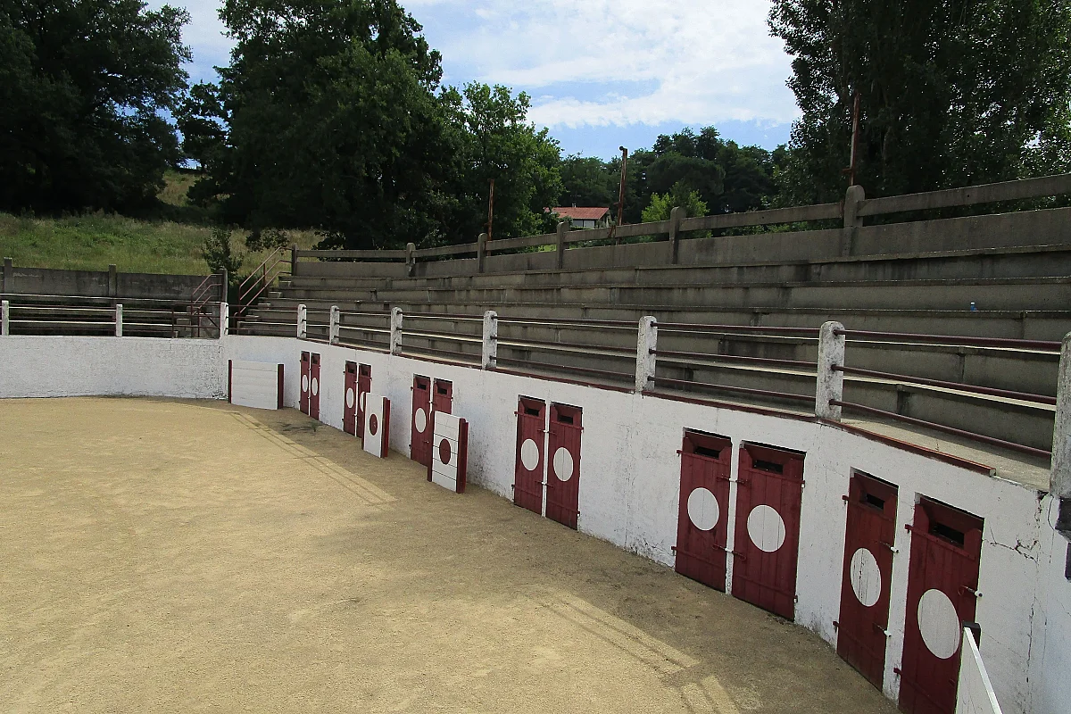 Visite des arènes de Bahus-Soubiran