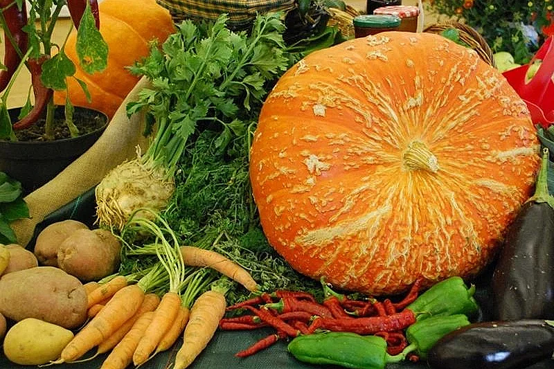 Exposition de fruits et légumes