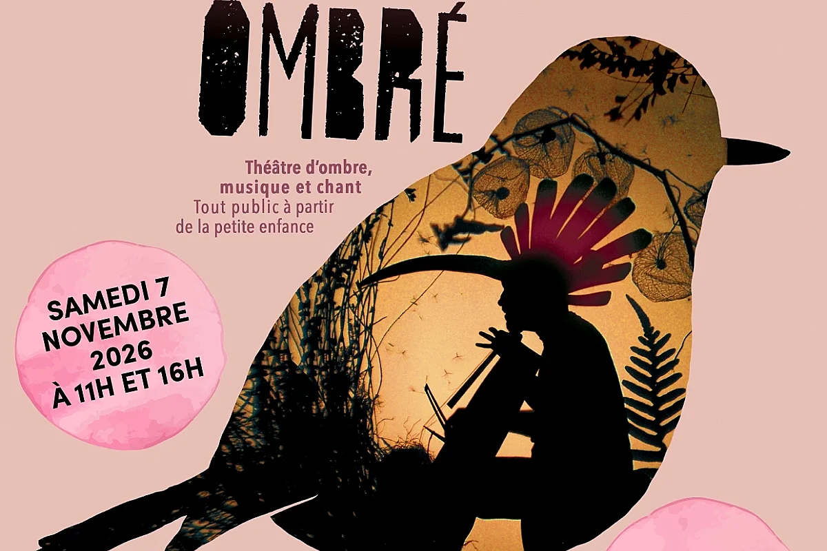 Spectacle "Volatile ombré"