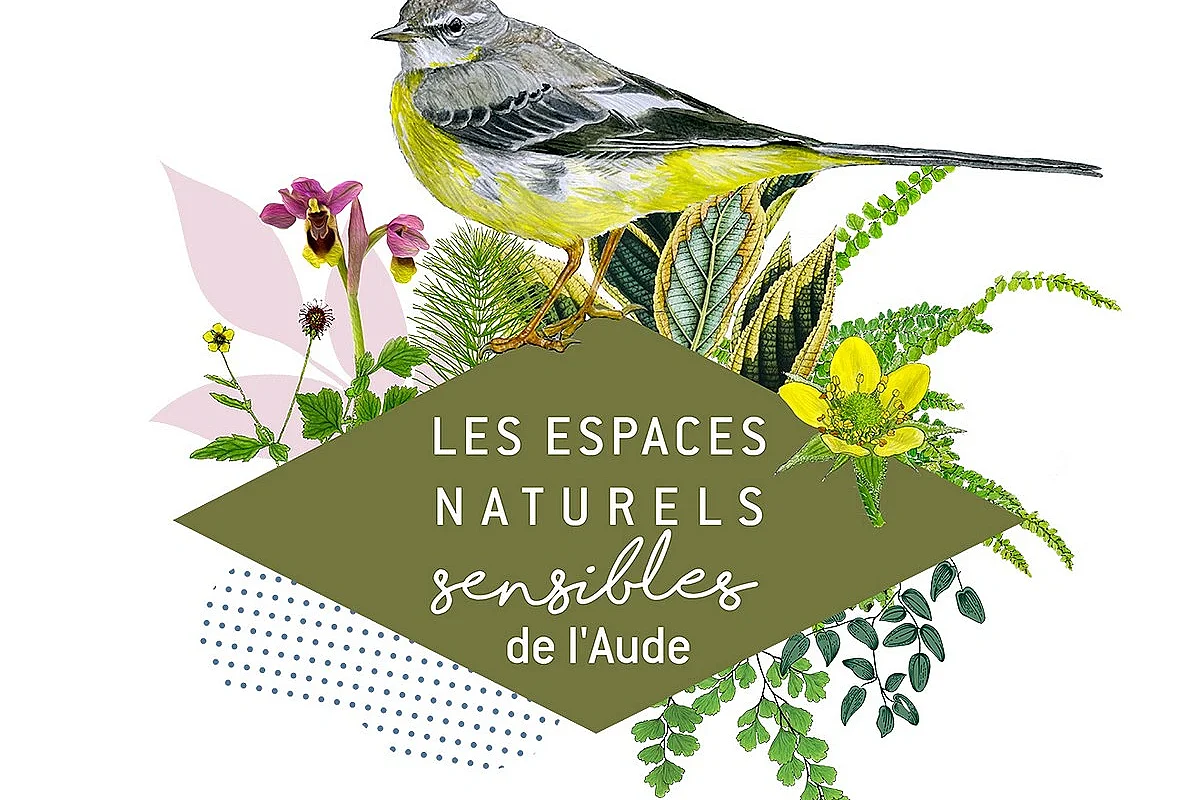 ENS - COMMENT FAVORISER LA BIODIVERSITÉ DES JARDINS ?