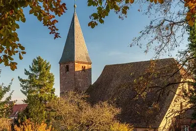 Concert : Flâneries à deux violoncelles