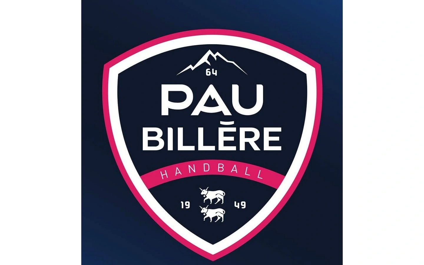 Handball Proligue - Pau Billère Handball 64 Vs Draguignan