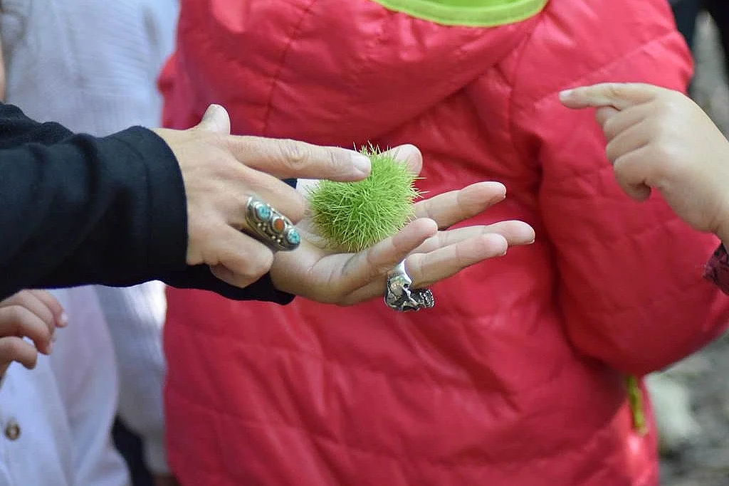 La magie des plantes : se préparer à l'hiver en douceur