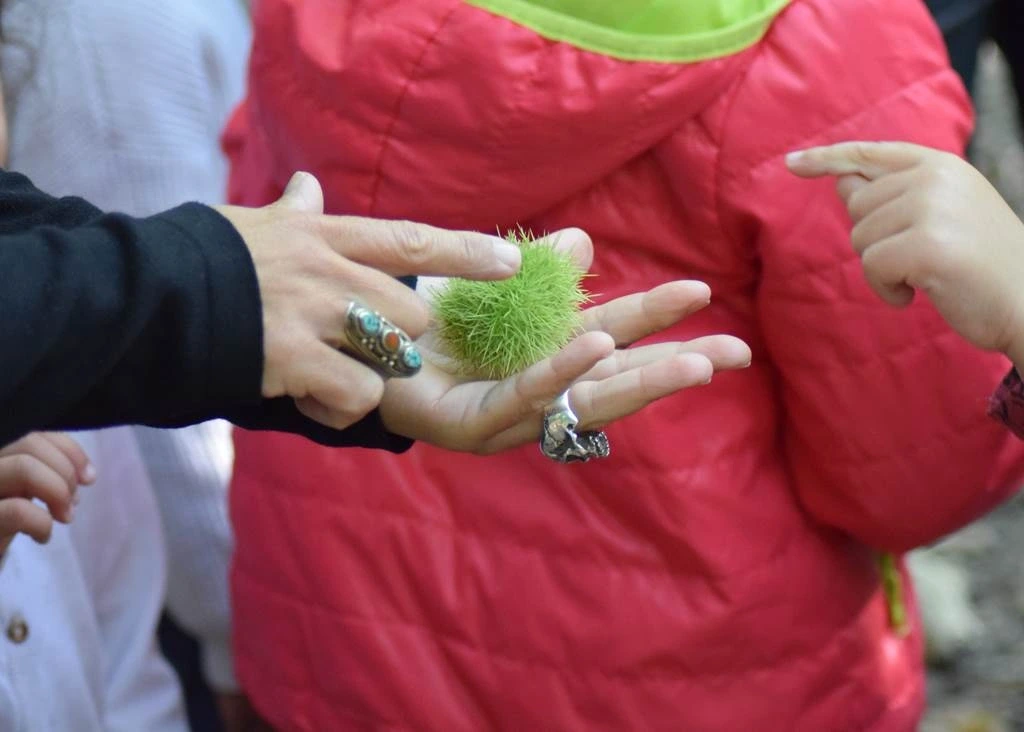 La magie des plantes : se préparer à l'hiver en douceur