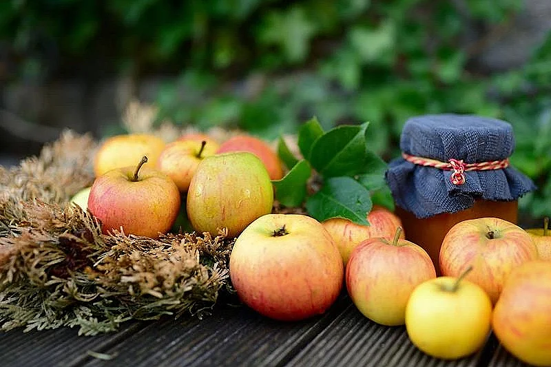 Exposition de fruits de nos vergers