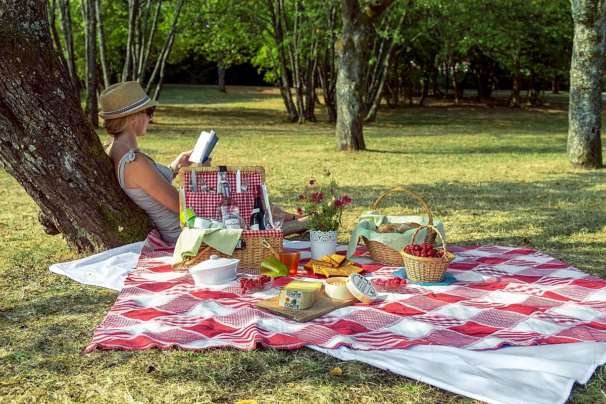 Fantastic Picnic "Cueillir l'instant"