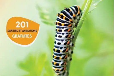 SORTIE NATURE : DÉPART EN MIGRATION