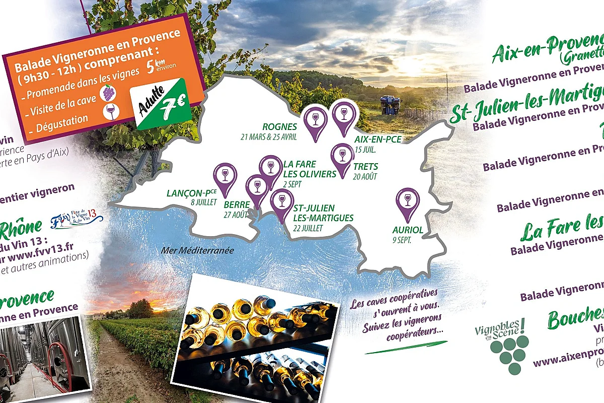 Balades Vigneronnes en Provence