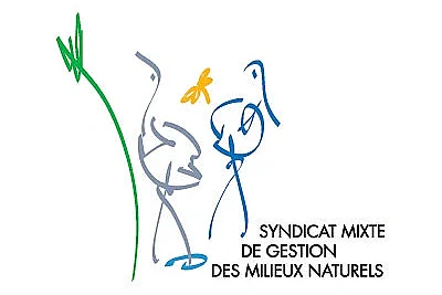 Baguage de passereaux