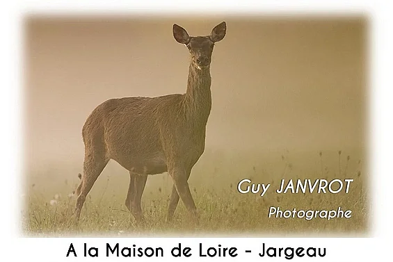 Exposition de la Maison de Loire : Les yeux dans les yeux