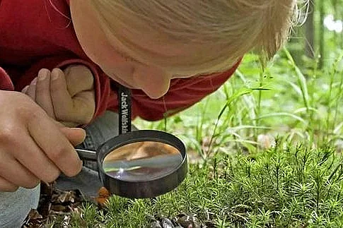 Animation nature en famille : Détectives animaliers