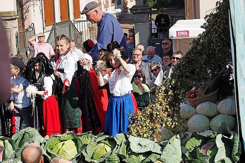 51e Fête de la choucroute-Sürkrütfecht