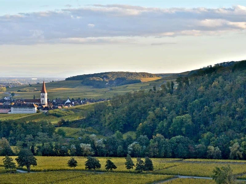 Mini-rallye - Découverte du vignoble