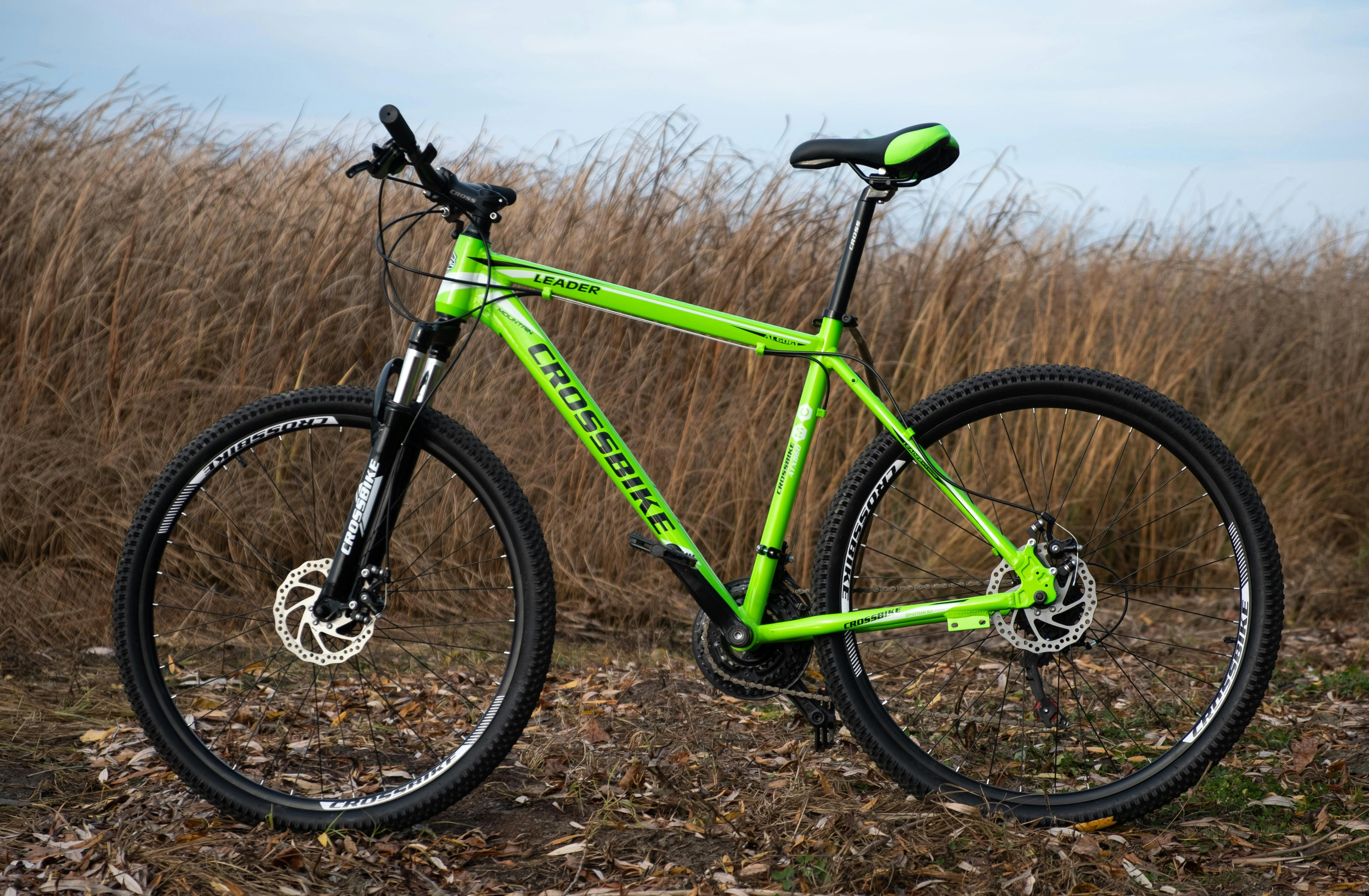 Cyclo-cross