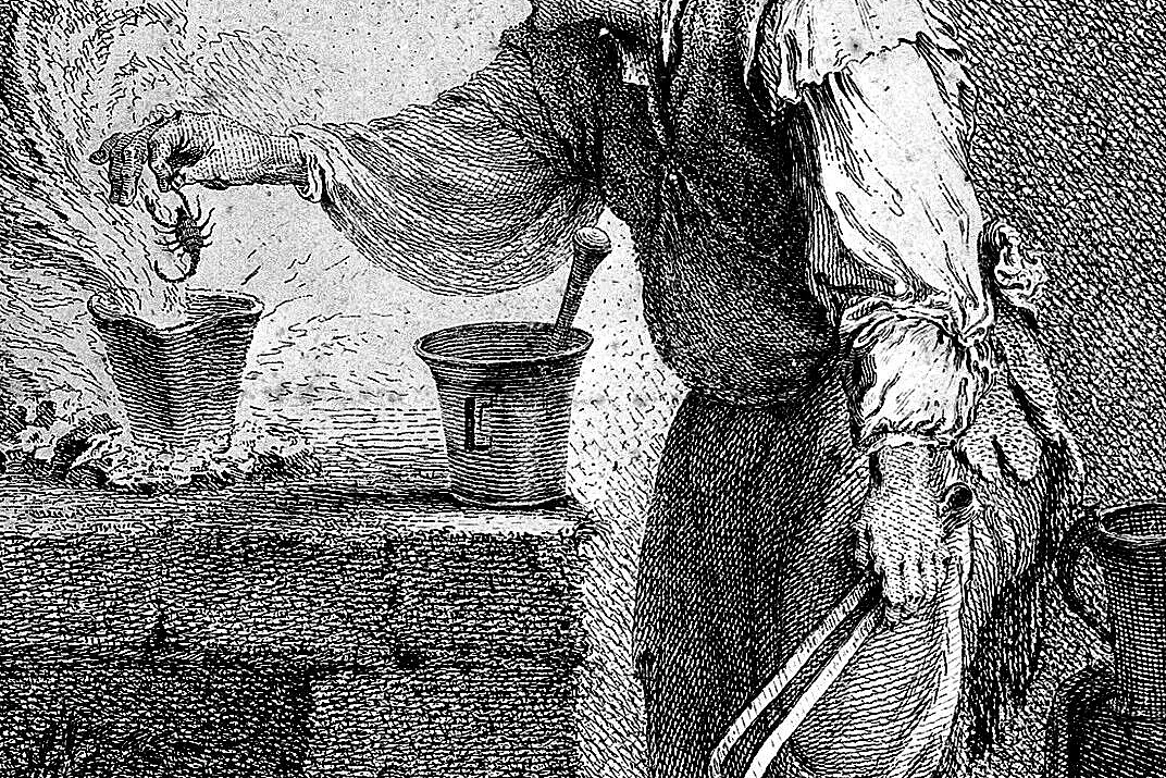 Sortilèges botaniques : Au royaume des plantes mortelles