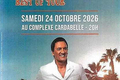 Concert Dany Brillant