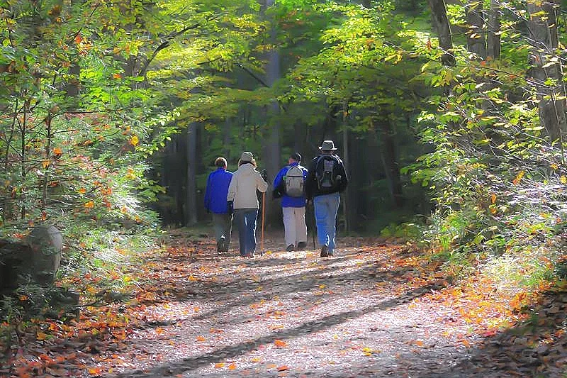 Sortie avec le Club Vosgien du Kochersberg : Kuttolsheim, Stephansberg