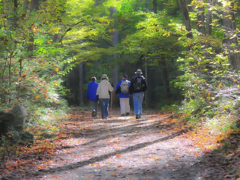 Sortie avec le Club Vosgien du Kochersberg : Kuttolsheim, Stephansberg