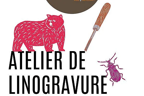 Atelier de linogravure avec Tali Graphiste