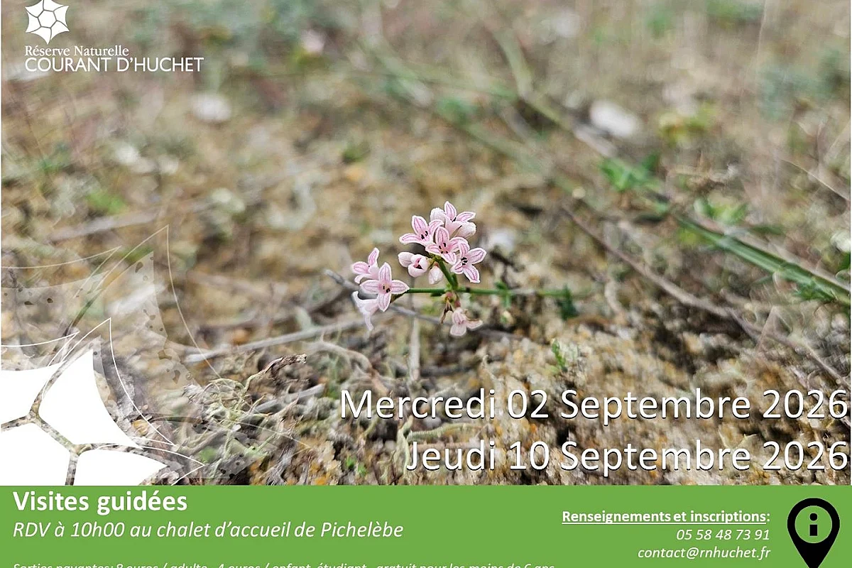Partez à la découverte de la Réserve Naturelle du Courant d'Huchet