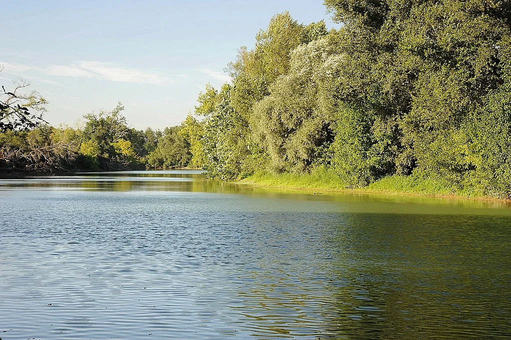 Découverte des secrets de l'Adour "Sur les chemins secrets de la biodiversité"