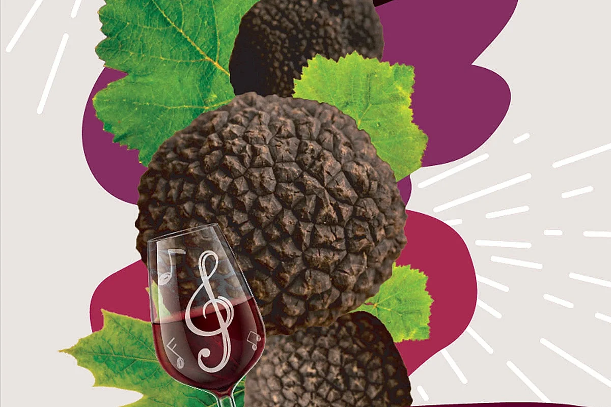 LES AMPÉLOFOLIES DU CABARDÈS - TRUFFE ET VIN