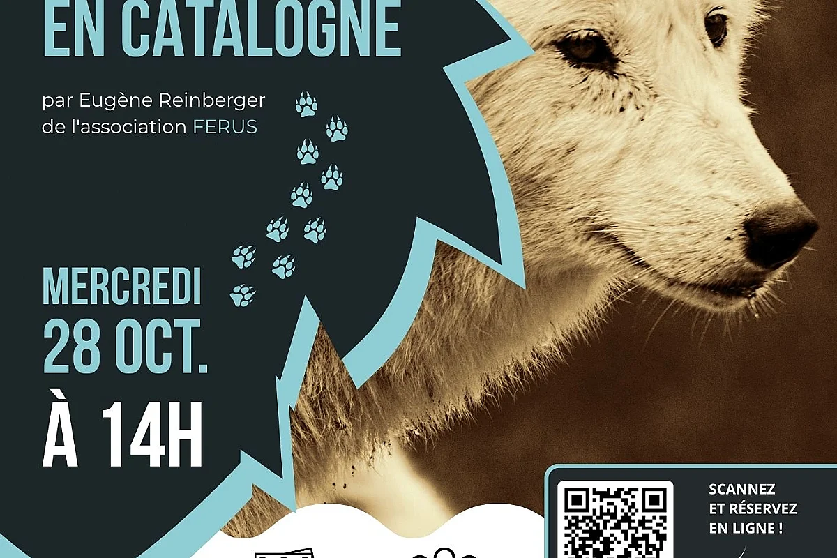 ATELIER SUR LES TRACES DES LOUPS