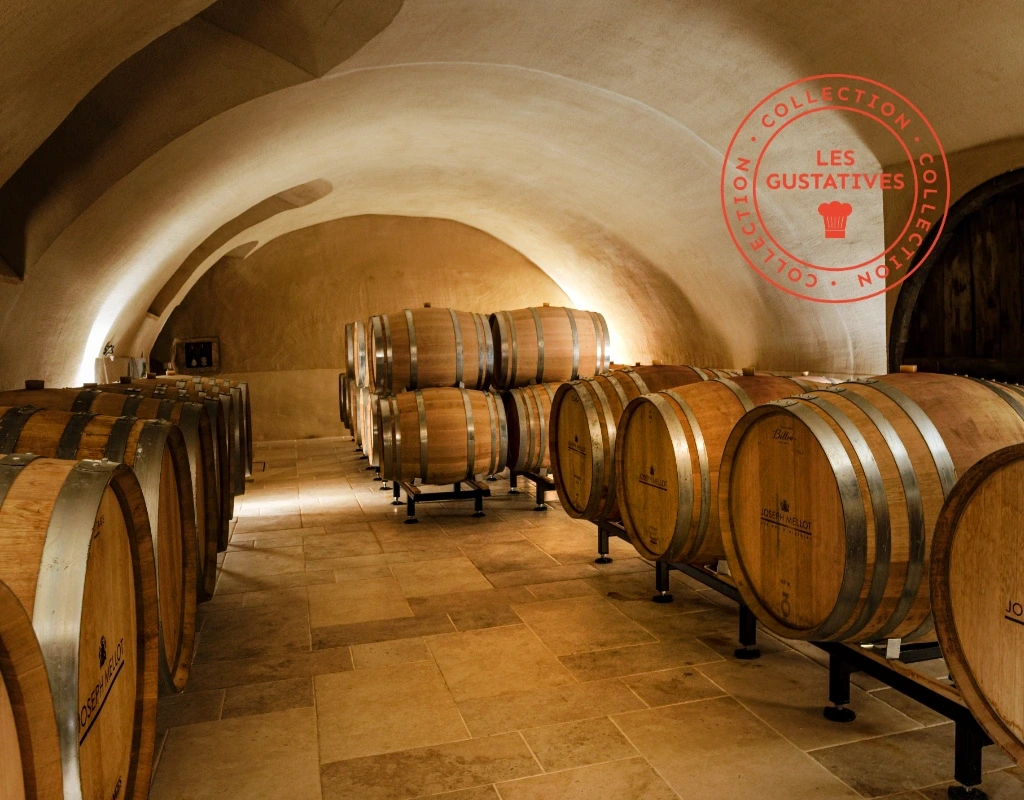 [Vignobles en Scène !] Entre histoire, vin et terroir : l’expérience Joseph Mellot