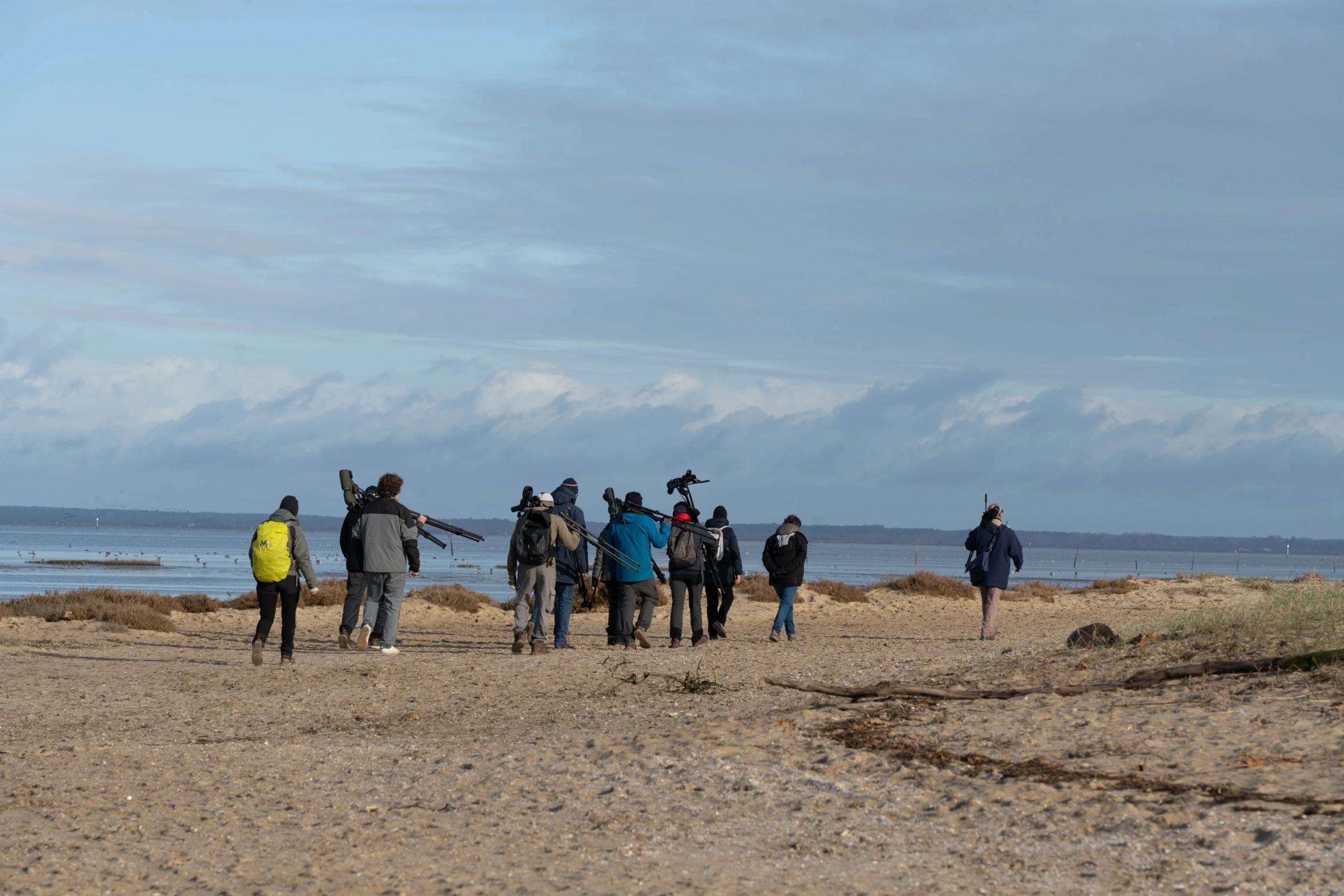 Formation aux oiseaux du littoral : weekend oiseaux migrateurs
