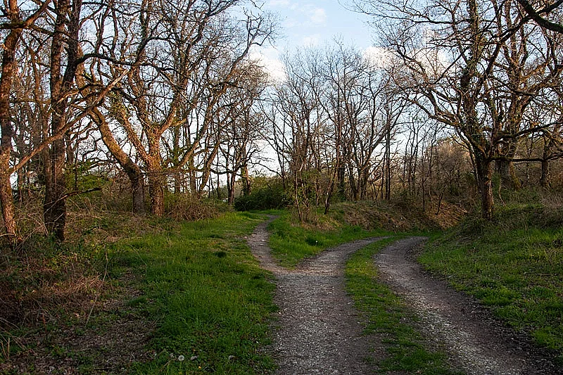 Chemin d'étang, raconte-nous la Brenne