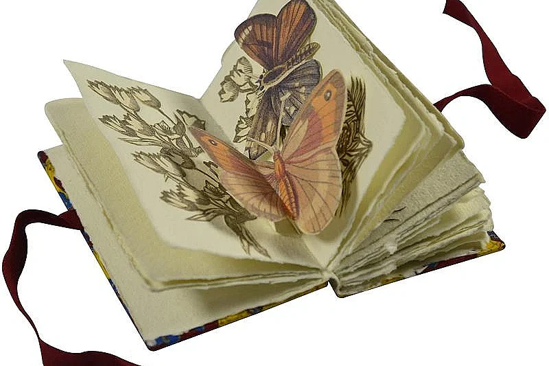 Livres d'artistes La nature à l'oeuvre