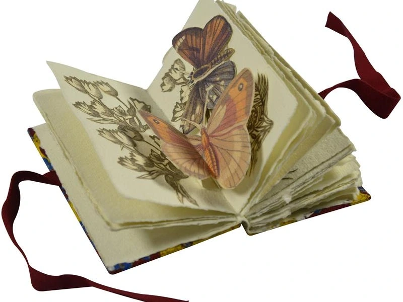 Livres d'artistes La nature à l'oeuvre