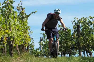 Rando à la ferme avec Trott'Iraty et pique-nique du berger