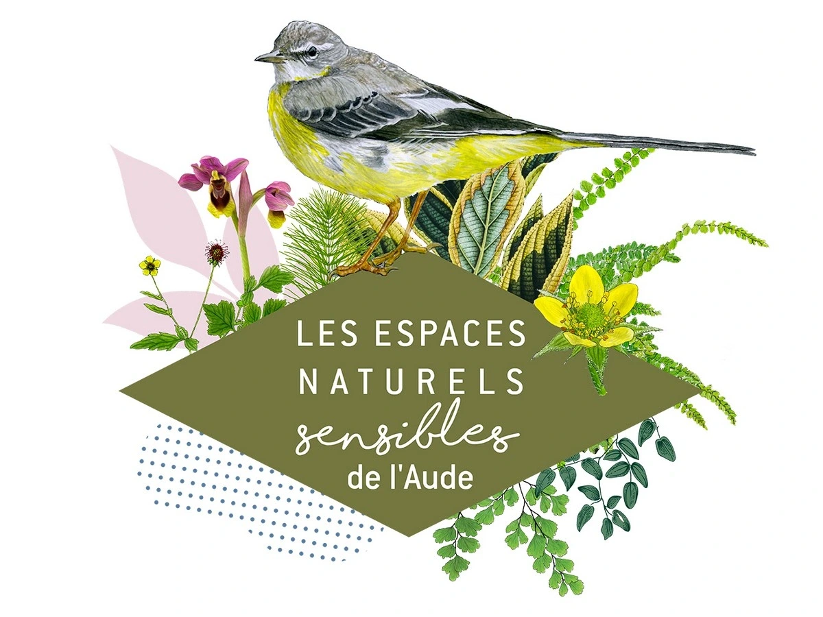 ENS - LE SENTIER DE DÉCOUVERTE DE LA RIVIÈRE DU LAMPY