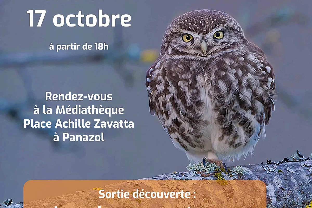 Sortie découverte « Les Oiseaux nocturne »
