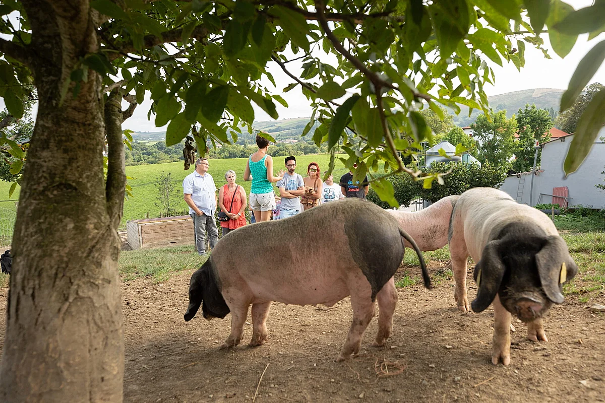 Ici, nos savoir-faire - Visite Ferme Agerria