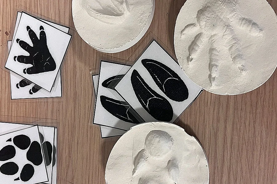 Atelier Bout d'choux Moulage d'empreinte animale