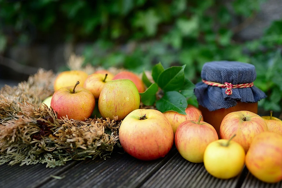 Fête de la pomme